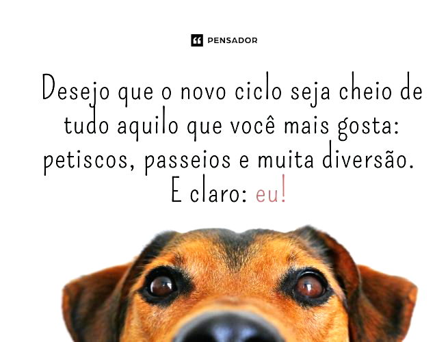 Desejo que o novo ciclo seja cheio de tudo aquilo que você mais gosta petiscos, passeios e muita diversão. E claro eu!