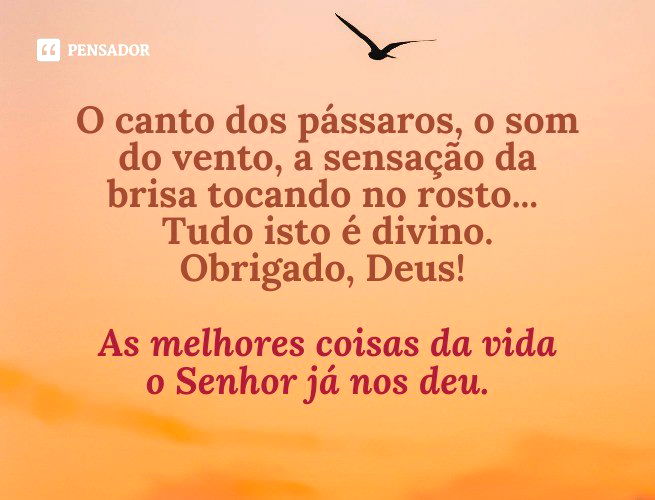 gratidão pelo dia de hoje! - Pensador