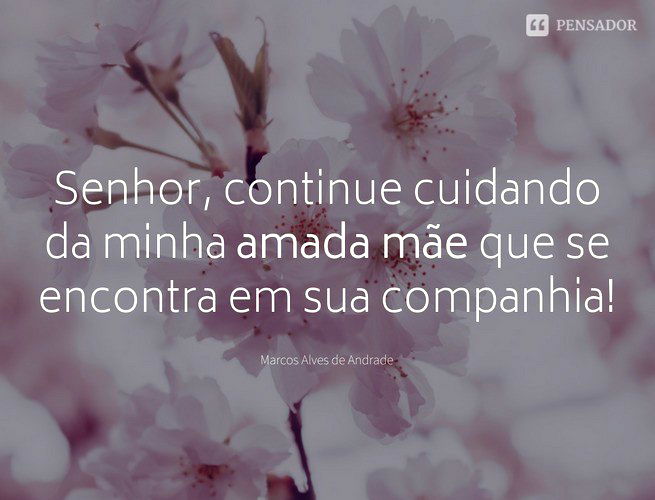 Frases dia de mães whatsapp, facebook e instagram