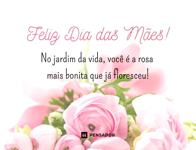 Feliz Dia das Mães! No jardim da vida, você é a rosa mais bonita que já floresceu!