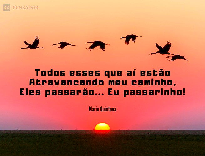 Todos esses que aí estão Atravancando meu caminho, Eles passarão... Eu passarinho!