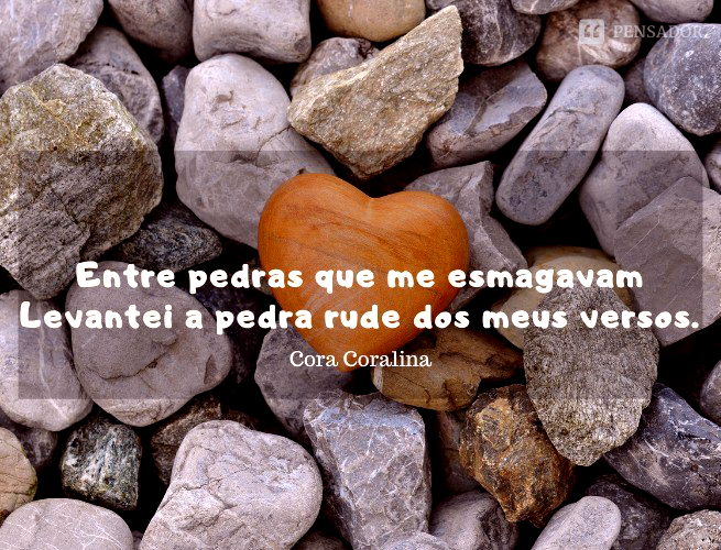 Frases de poesia: 100 trechos inesquecíveis de 20 grandes poetas  brasileiros - Pensador