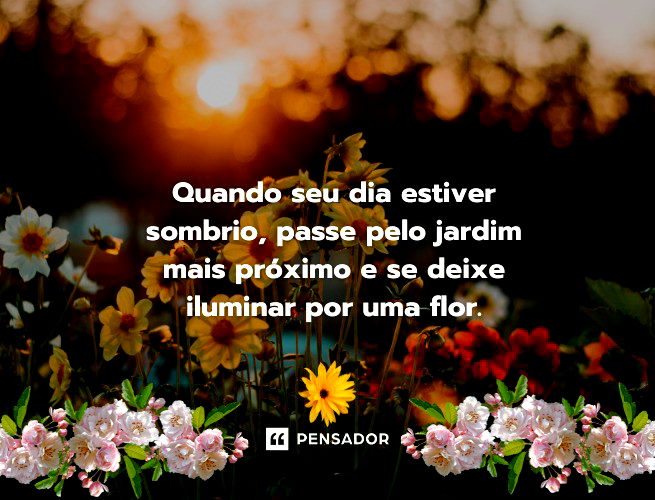 Flores e Frases