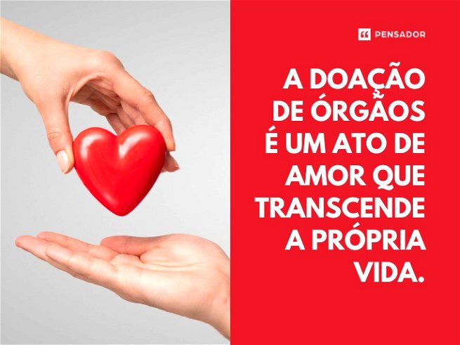 A doação de órgãos é um ato de amor que transcende a própria vida.