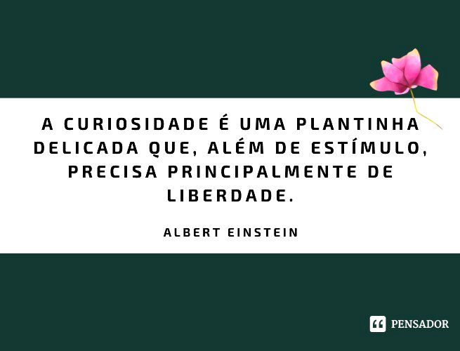 A Lógica de Einstein! Conta certa Albert Einstein - Pensador