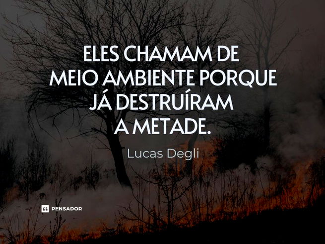 Eles chamam de meio ambiente porque já destruíram a metade.