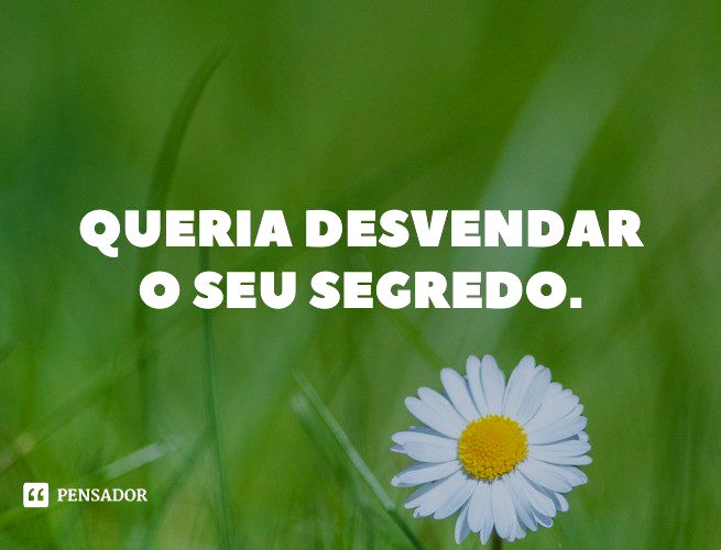 Queria desvendar o teu segredo.