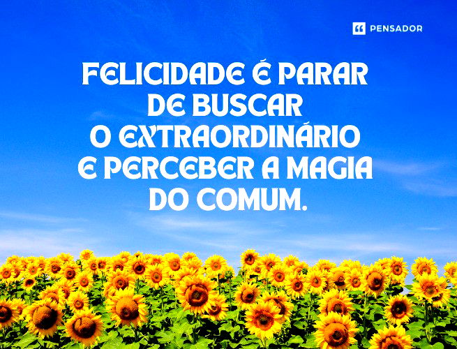 Felicidade é parar de buscar o extraordinário e perceber a magia do comum. 