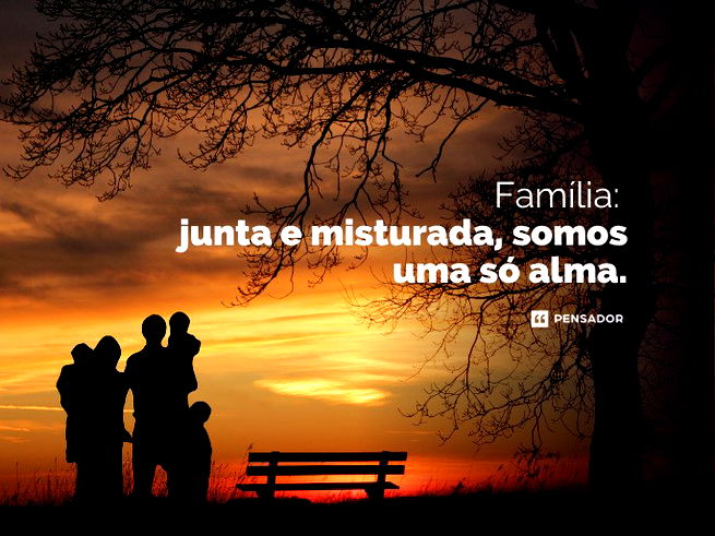 Família: junta e misturada, somos uma só alma.