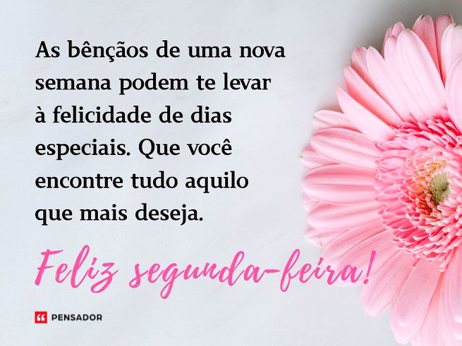 Flor cor-de-rosa na lateral direita da imagem.