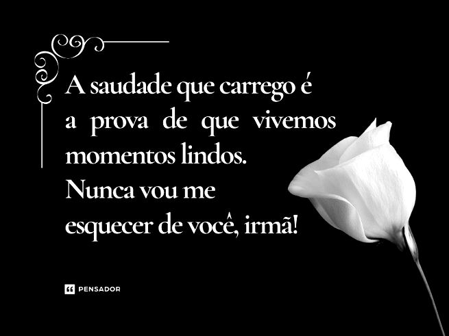 Flor branca com fundo preto.