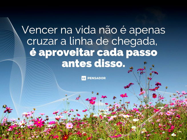 53 frases sobre florescer para refletir e encontrar motivação - Pensador