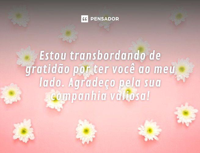 Estou transbordando de gratidão por ter você ao meu lado. Agradeço pela sua companhia valiosa!