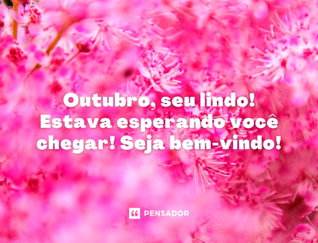 Bem-vindo, AGOSTO! 78 frases para comemorar mais um mês chegando