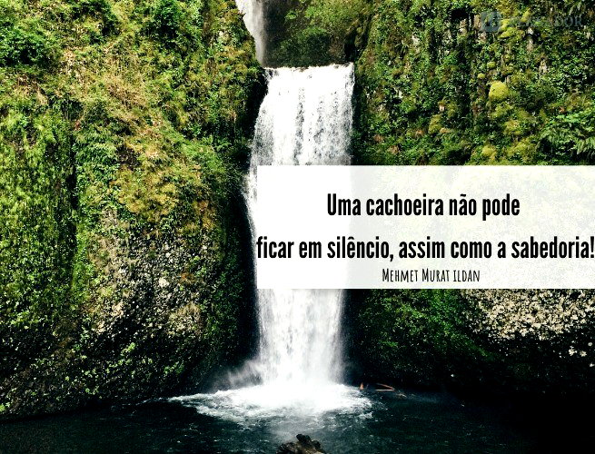 As 60 melhores legendas para fotos na natureza 🌳 - Pensador