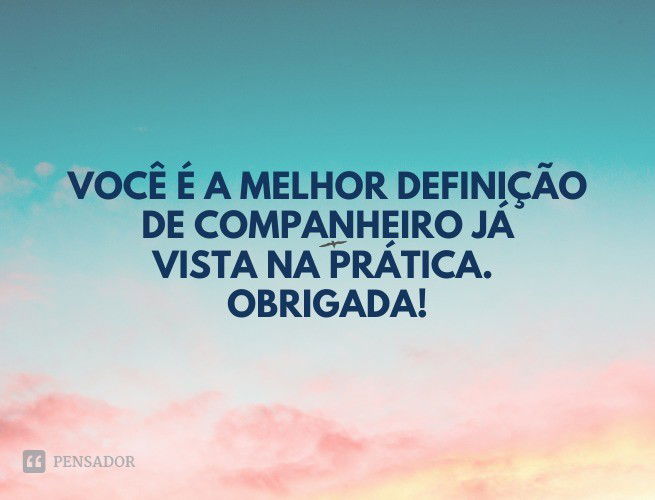 Você é a melhor definição de companheiro já vista na prática. Obrigada!