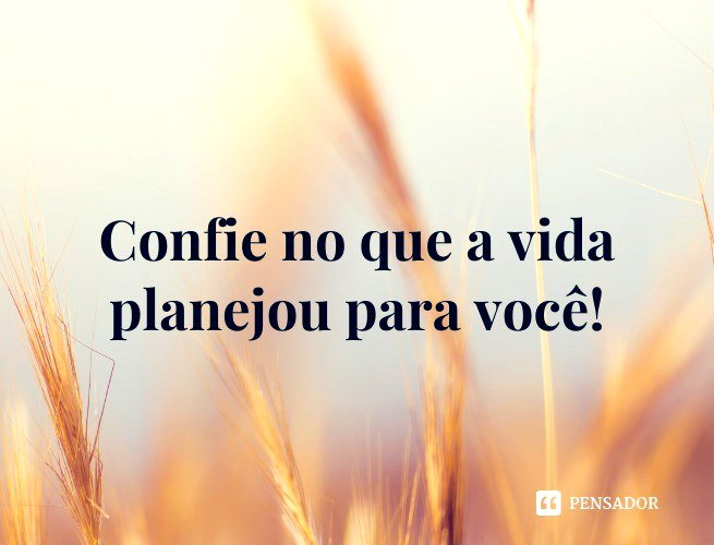 104 frases curtas de motivação que dão ânimo - Pensador