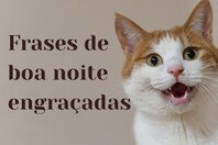 Frases de boa noite engraçadas pra se despedir do dia com bom humor
