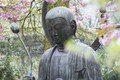 17 frases de Buda que vão inspirar a sua vida
