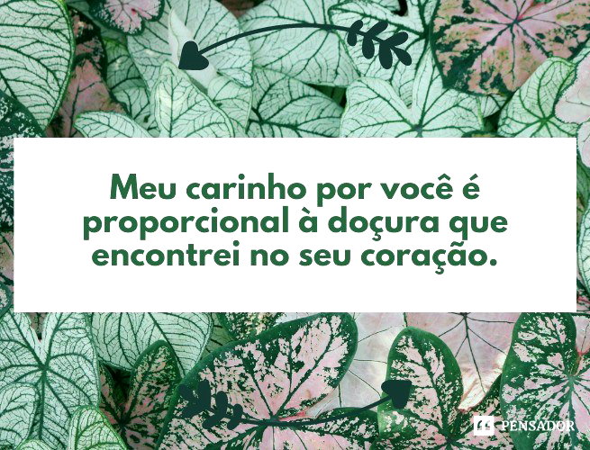 71 frases de carinho que abraçam com as palavras - Pensador