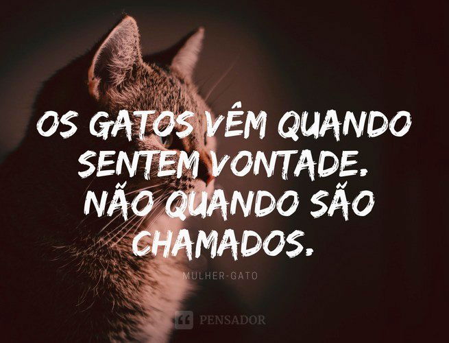 frases de super-heróis da marvel e dc