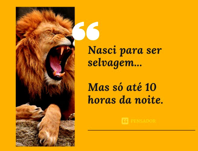 Frases engraçadas com Imagens e Fotos para Rir e Compartilhar