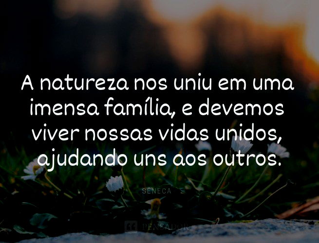 36 frases que mostram como a família é importante na nossa vida - Pensador