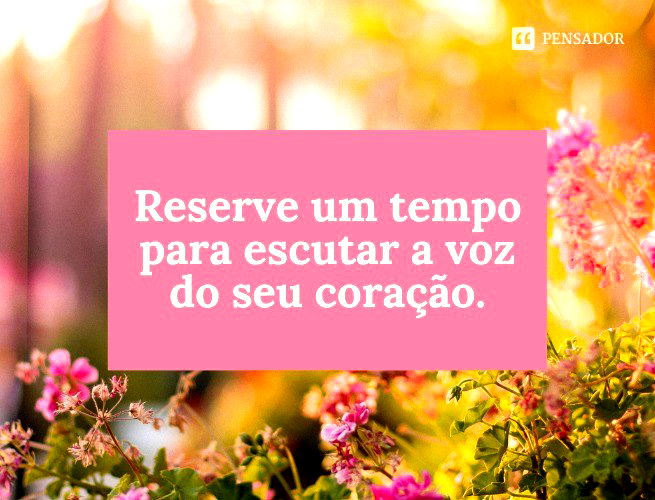 Frase de A Dama e o Vagabundo para te inspirar  Frases e poemas, Frases  motivacionais curtas, Frases inspiracionais