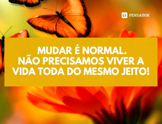 Frase de A Dama e o Vagabundo para te inspirar  Frases e poemas, Frases  motivacionais curtas, Frases inspiracionais