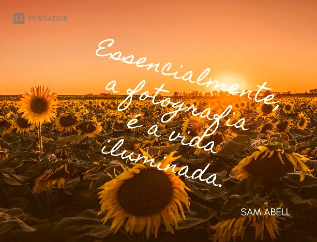 Essencialmente, a fotografia é a vida iluminada.