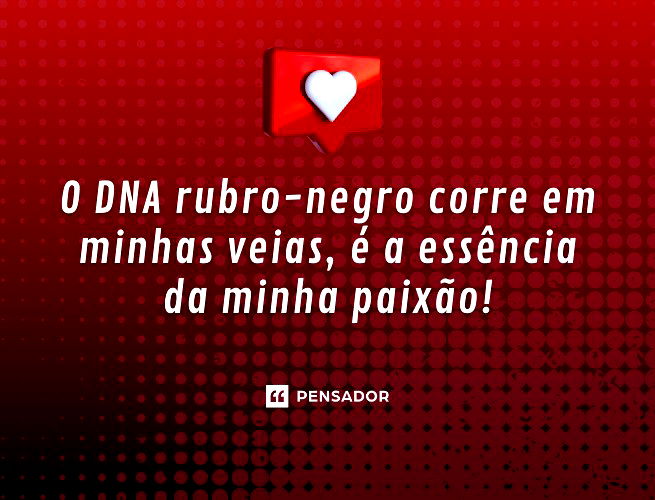 Rubro Negro até Morrer - Flamengo é o time perfeito