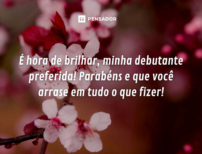 É hora de brilhar, minha debutante preferida! Parabéns e que você arrase em tudo o que fizer!