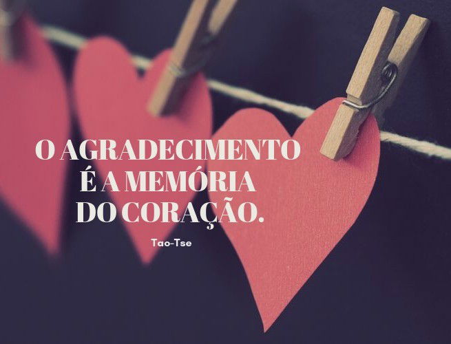 45 Frases De Gratidão Mensagens Para Agradecer Pensador