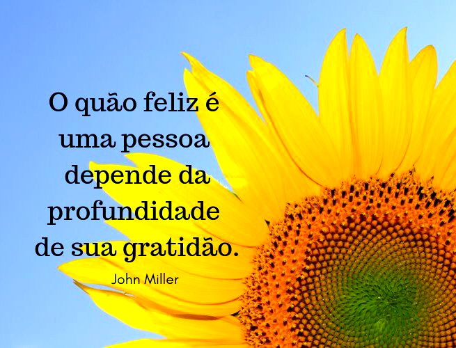 61 Frases De Gratidão Mensagens Para Agradecer Pensador 5717