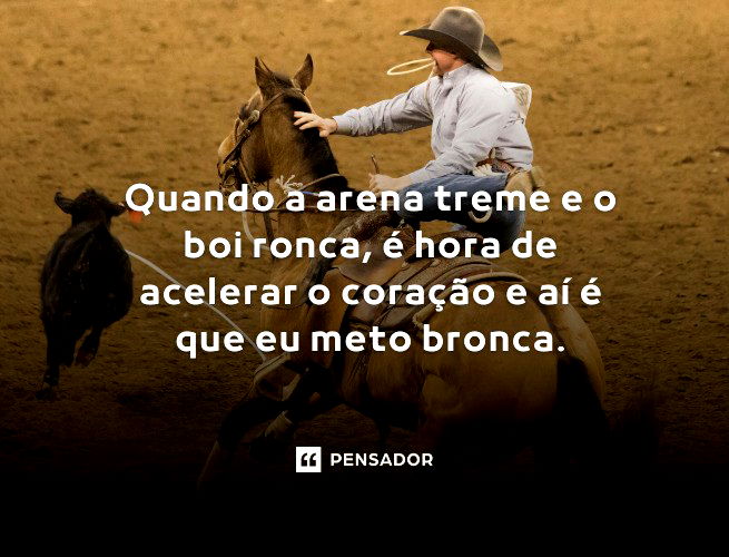 Cavaleira cavalgando em cavalo marrom e pulando a cerca na arena