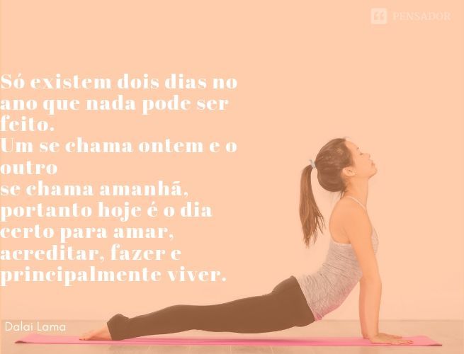 Imagem 11