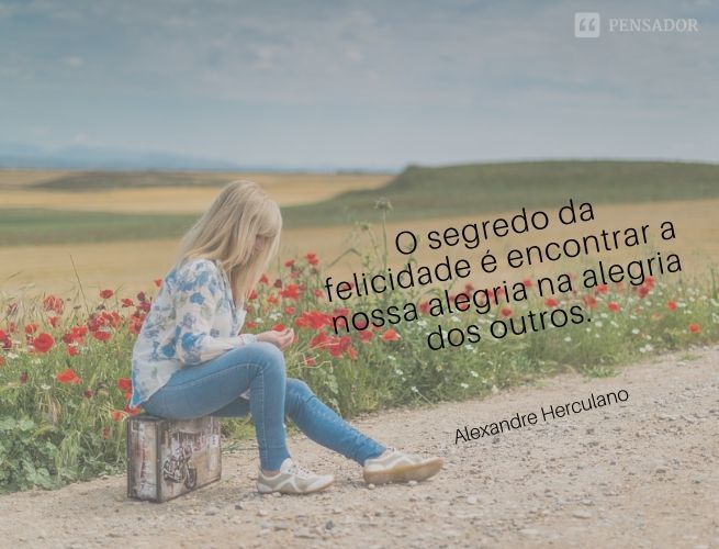 Imagem 13
