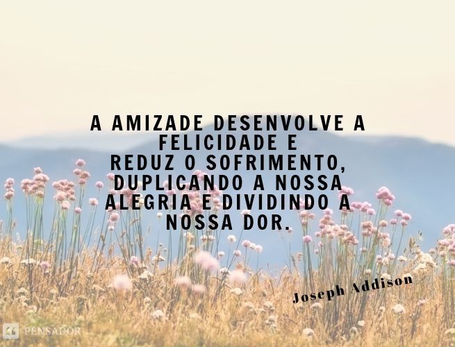 Imagem 4