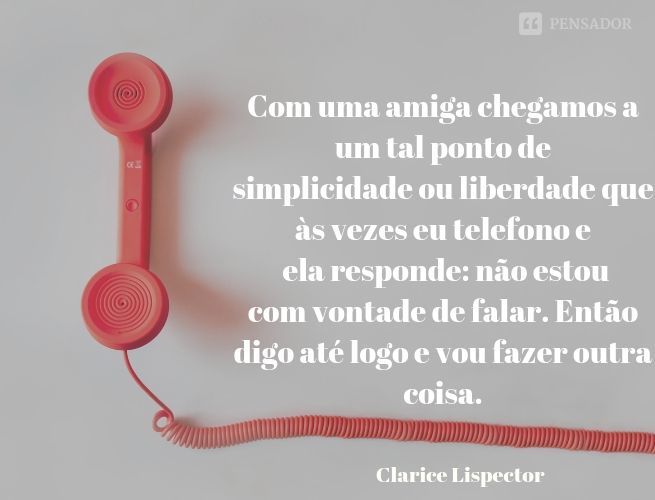 Imagem 7