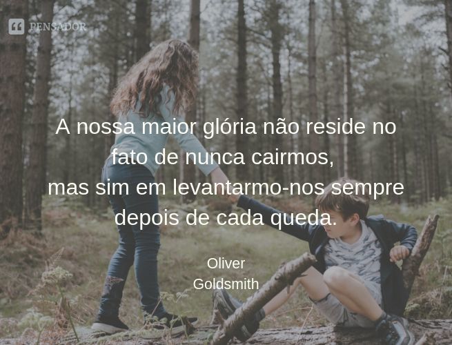 Imagem 8
