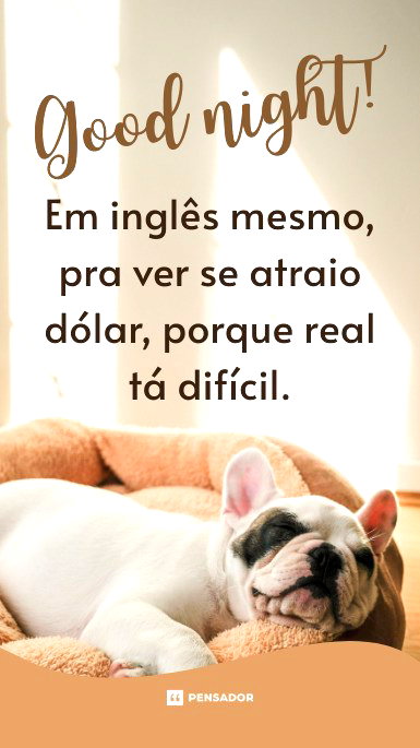 Buldogue francês de cor branca dormindo numa caminha circular.