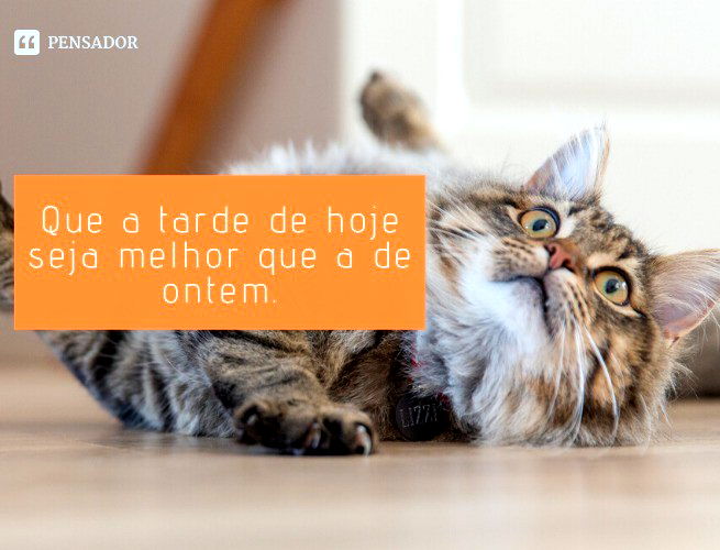 Que a tarde de hoje seja melhor que a de ontem.