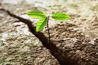 O que é resiliência e como é importante na nossa vida!