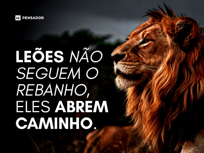 Le&otilde;es n&atilde;o seguem o rebanho, eles abrem caminho.&nbsp;