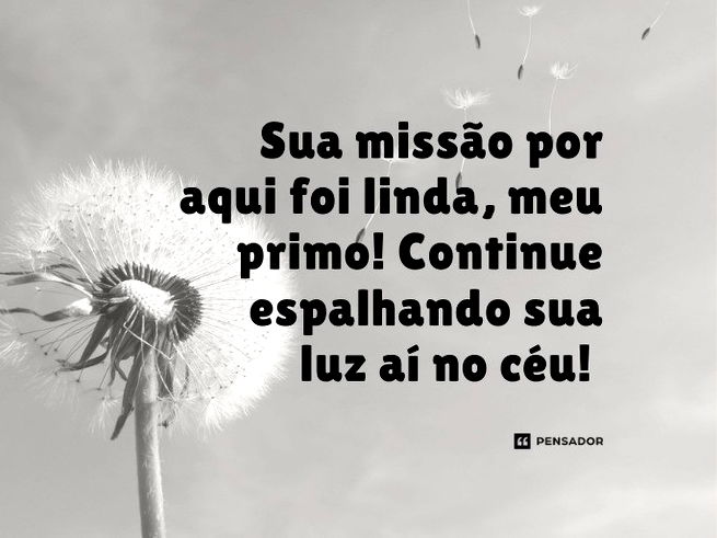 Imagem de luto para primo com fundo preto e uma flor branca na parte inferior esquerda.