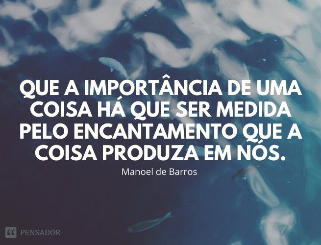 Que a importância de uma coisa há que ser medida pelo encantamento que a coisa produza em nós.