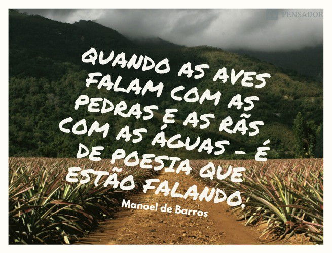 Quando as aves falam com as pedras e as rãs com as águas - é de poesia que estão falando.