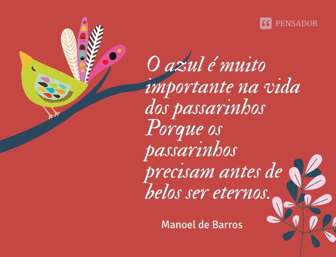 O azul é muito importante na vida dos passarinhos Porque os passarinhos precisam antes de belos ser eternos.