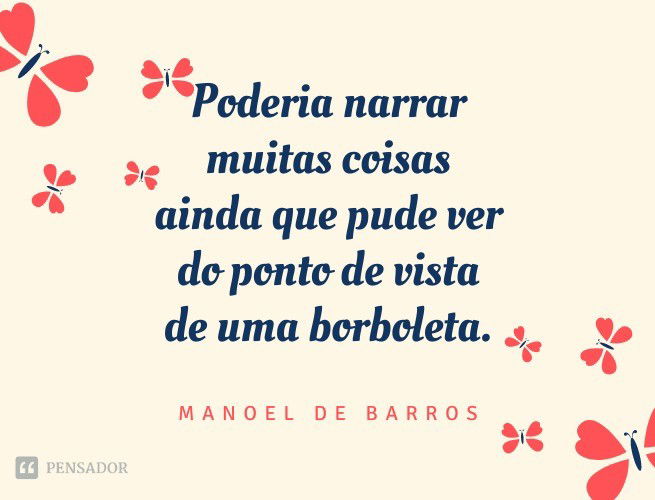 Poderia narrar muitas coisas ainda que pude ver do ponto de vista de uma borboleta.