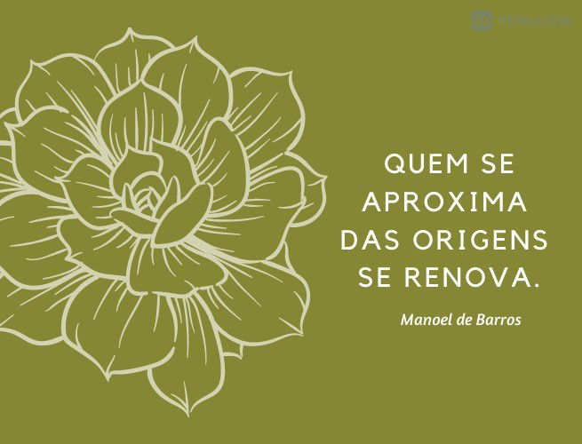 Quem se aproxima das origens se renova.